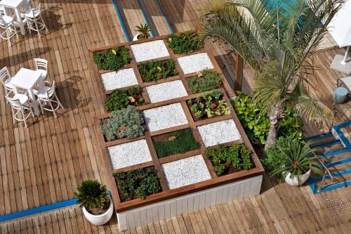 herbert samuel reef eilat