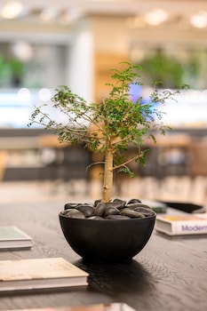 sadot hotel ben gurion airport an atlas boutique hotel