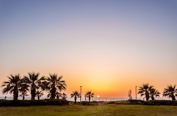 netanya