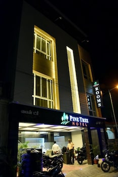 hotel pine tree