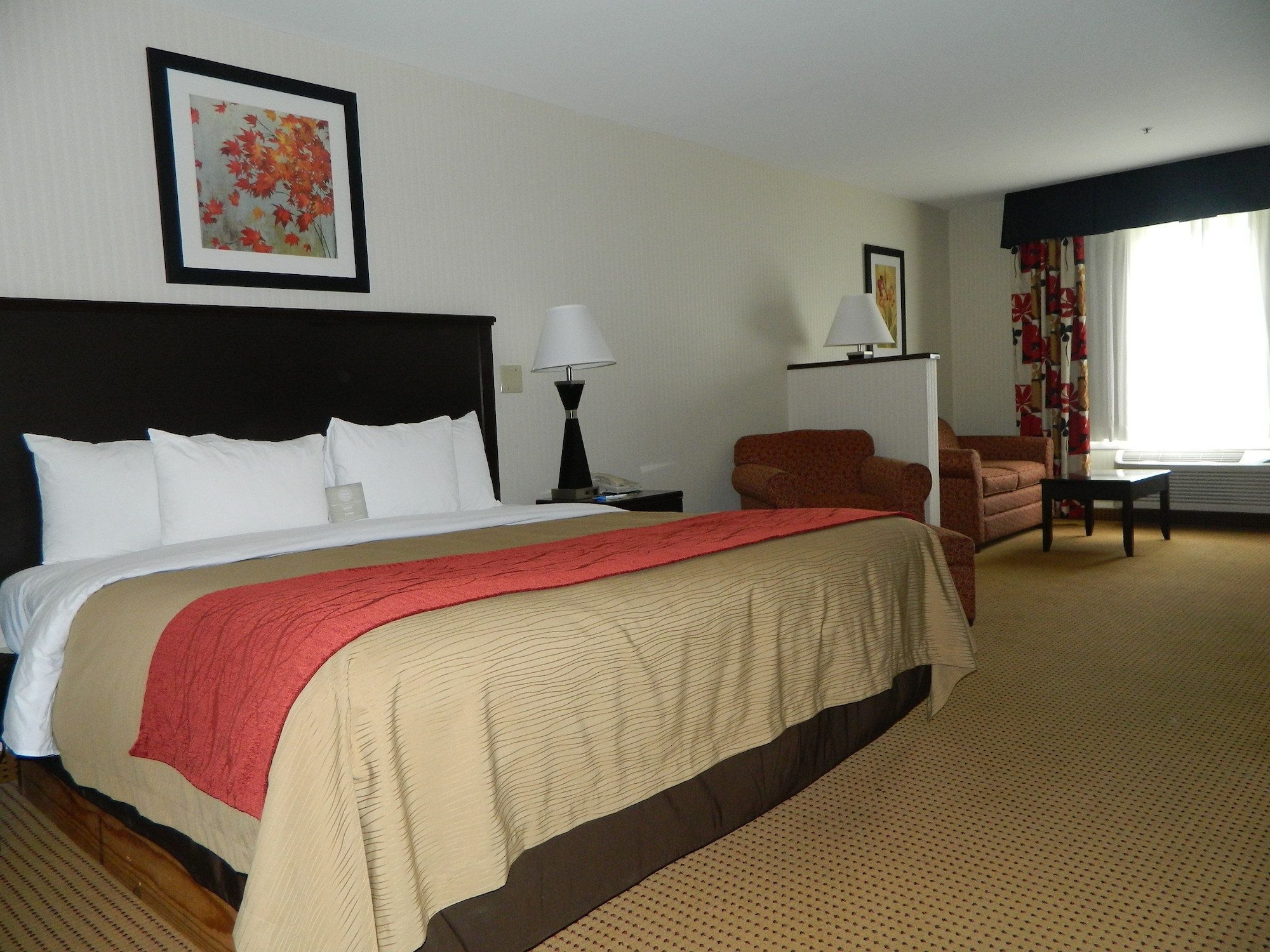 quality inn and suites farmington