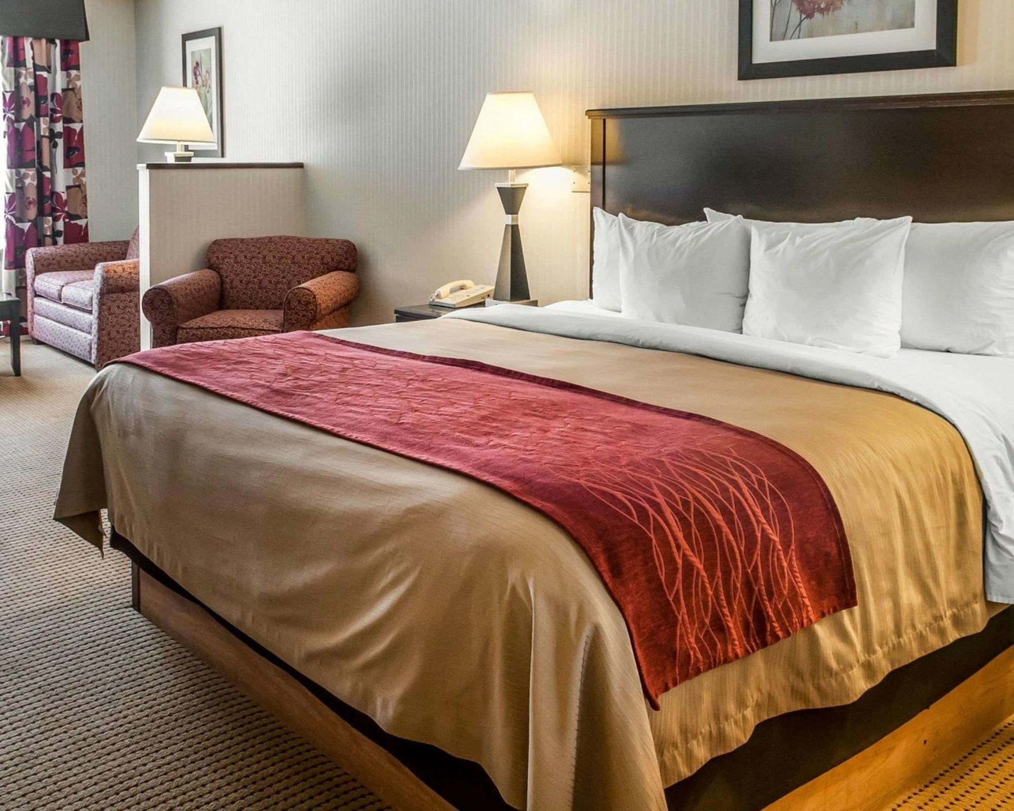 quality inn and suites farmington