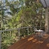 pethers rainforest retreat