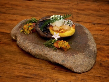 pethers rainforest retreat