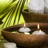 pethers rainforest retreat