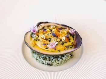 tiara miramar beach resort