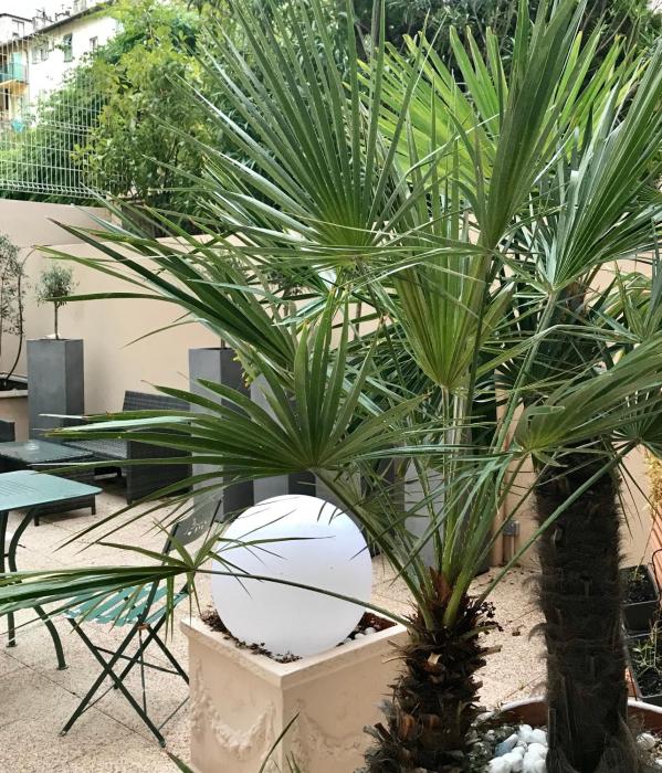 easyhotel nice old town