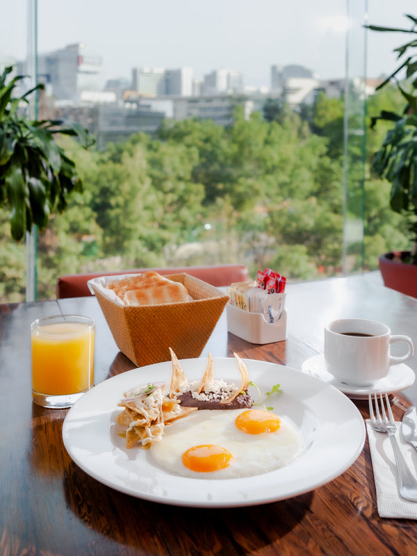 gamma ciudad de mexico santa fe