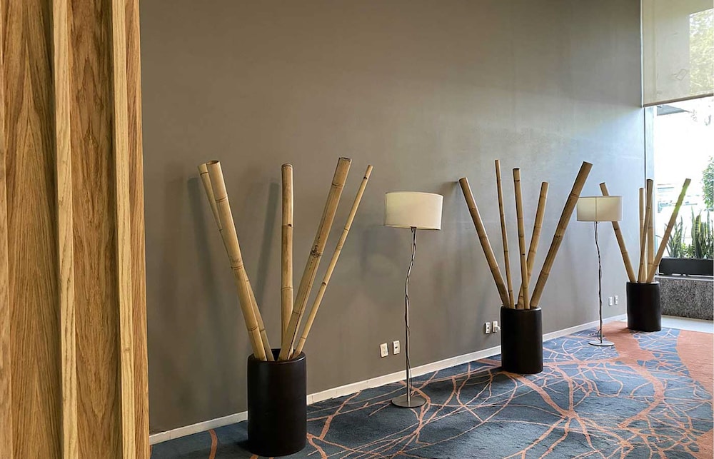 hotel mx forum buenavista