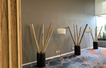 hotel mx forum buenavista