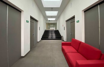 hotel mx forum buenavista