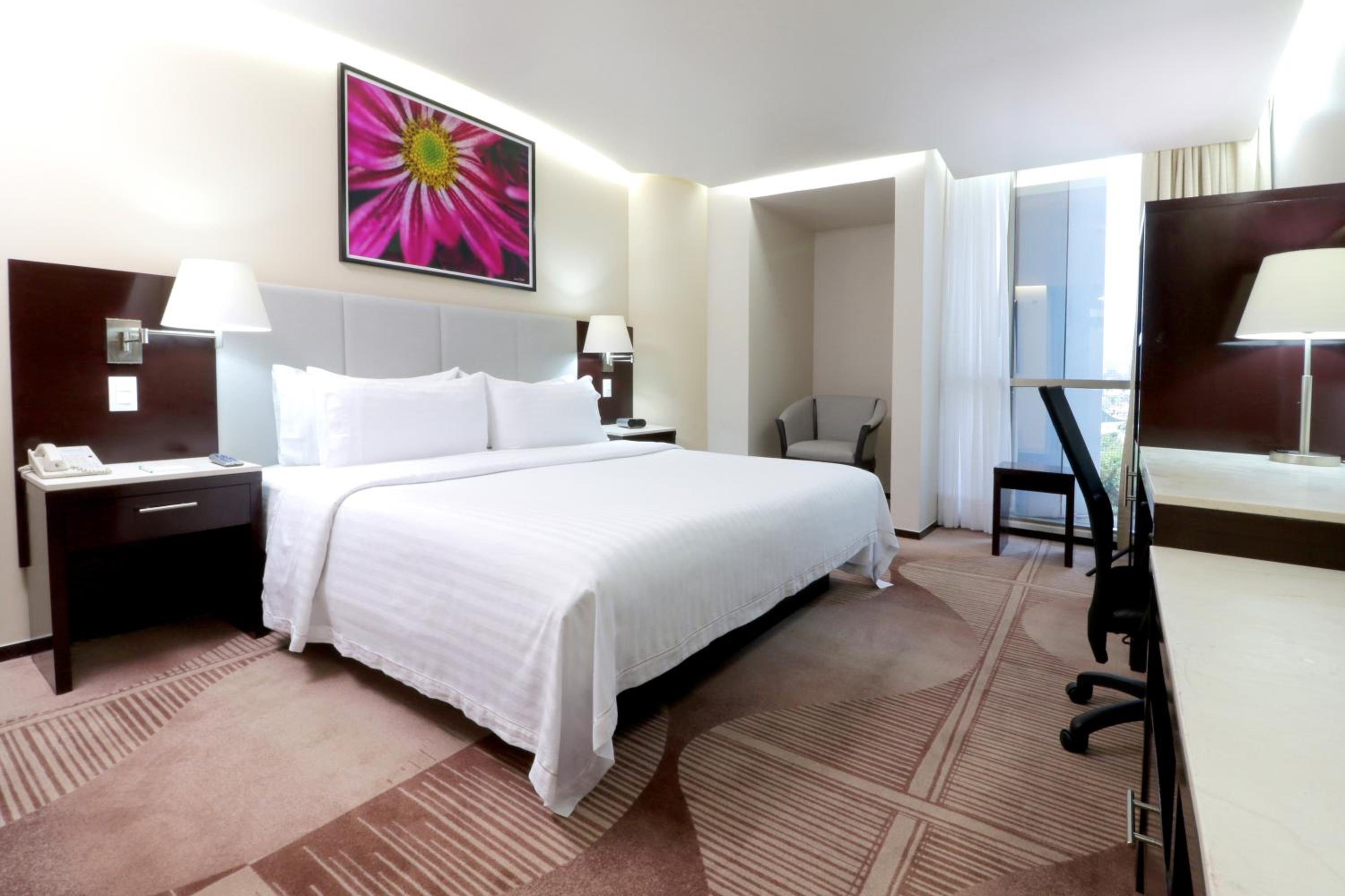 holiday inn hotel and suites medica sur by ihg