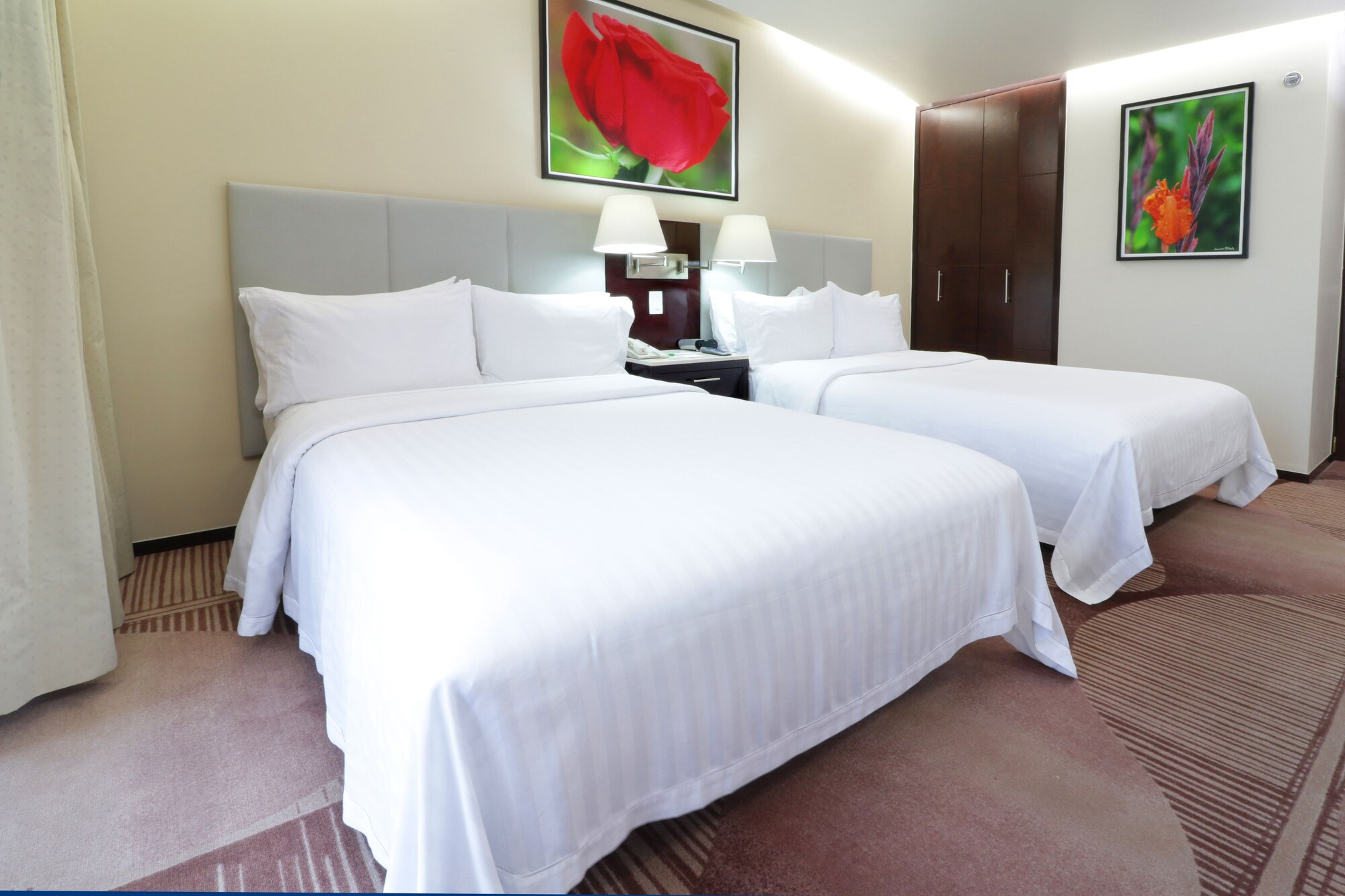 holiday inn hotel and suites medica sur by ihg