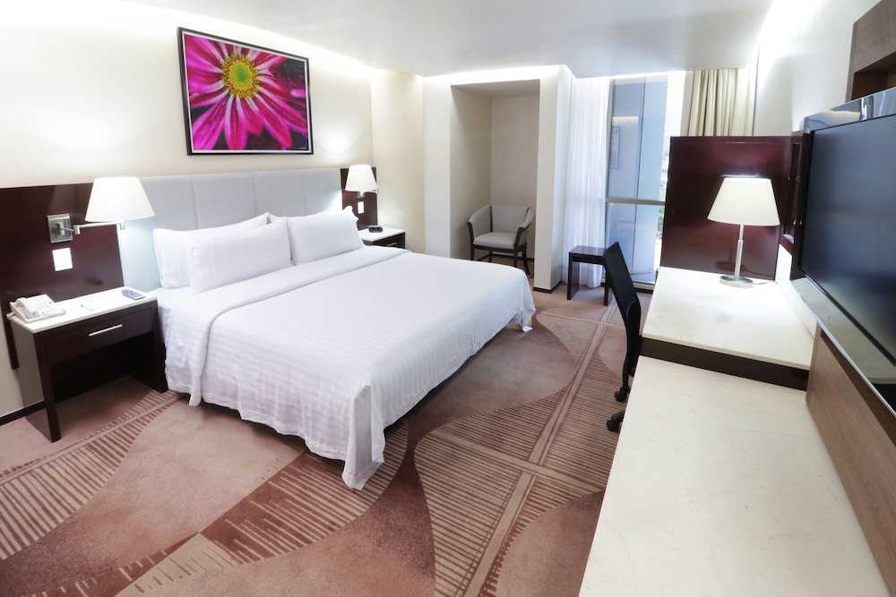 holiday inn hotel and suites medica sur by ihg