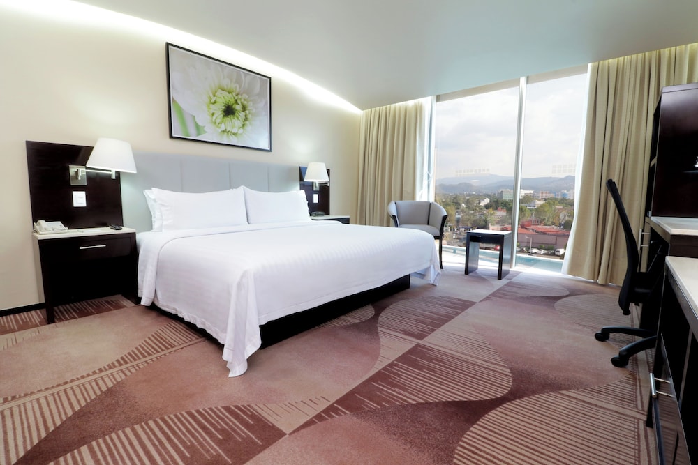 holiday inn hotel and suites medica sur by ihg