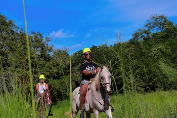 curubande