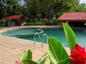 cano negro natural lodge