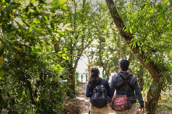 cano negro natural lodge