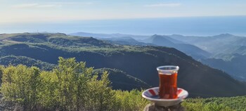 flora handuzu resort and bungalow