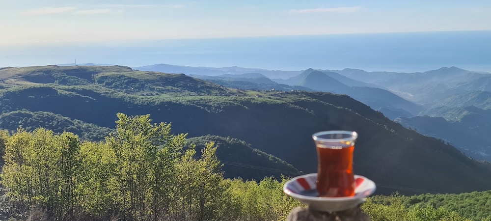 flora handuzu resort and bungalow