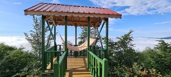 flora handuzu resort and bungalow