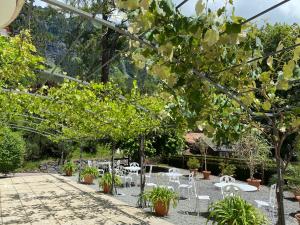 hotel regina wengen