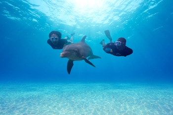 the coral at atlantis