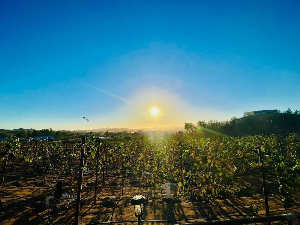 valle de guadalupe