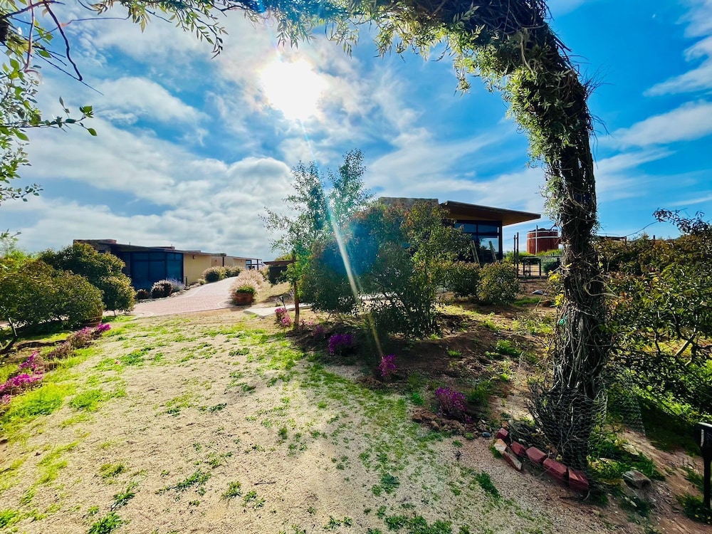 valle de guadalupe
