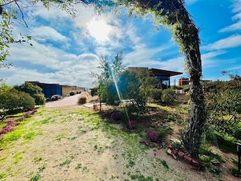 valle de guadalupe