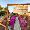 brisa del valle hotel boutique