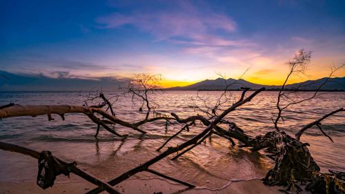 pravasa gili resort by kajane