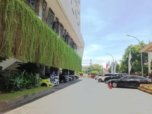 cordova suites