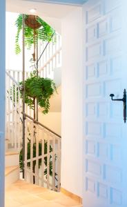 porta nova suites altea adults only