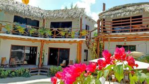 arte sano vegan hotel