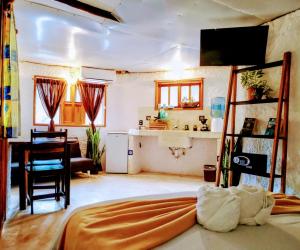 arte sano vegan hotel