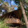 bamboo turtles ecolodge