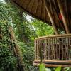bamboo turtles ecolodge