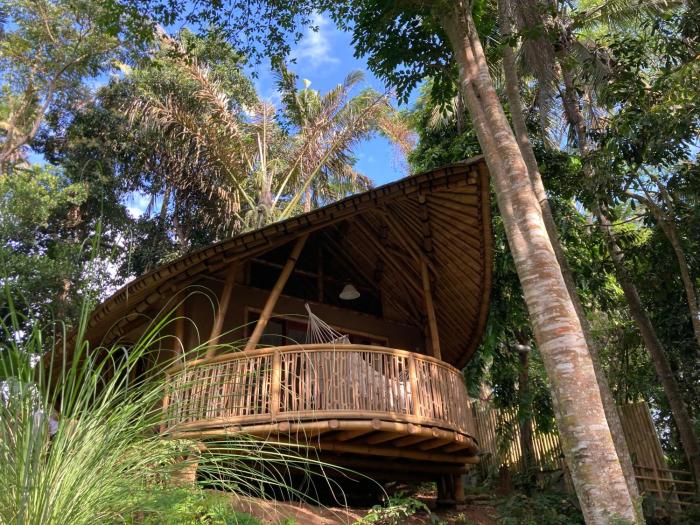 bamboo turtles ecolodge