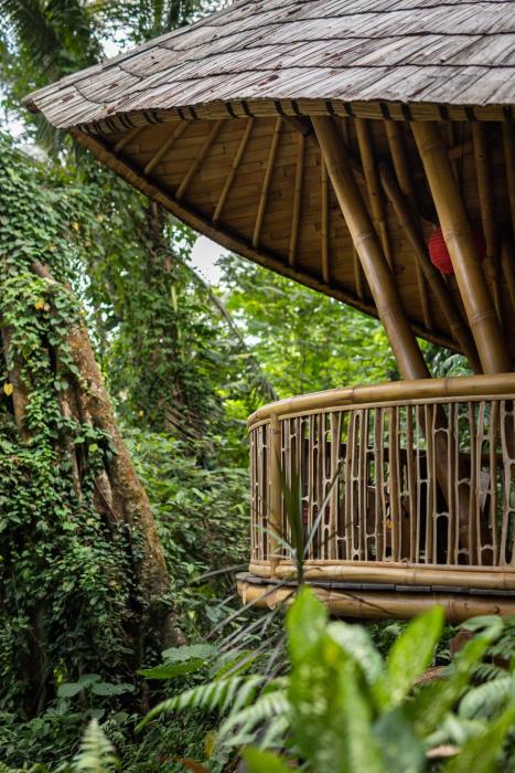 bamboo turtles ecolodge