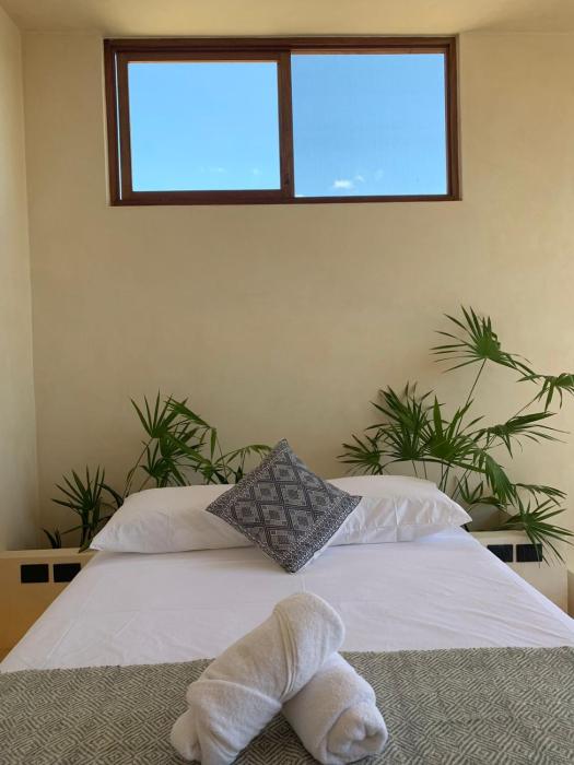 tikul hotel boutique