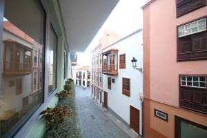 banana garden la palma