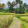 5g resort cijeruk