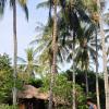 lendang eco lodge