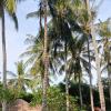 lendang eco lodge