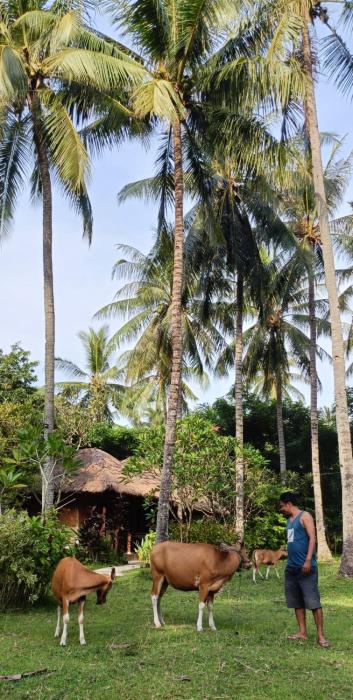 lendang eco lodge
