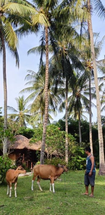 lendang eco lodge