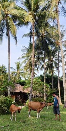 lendang eco lodge