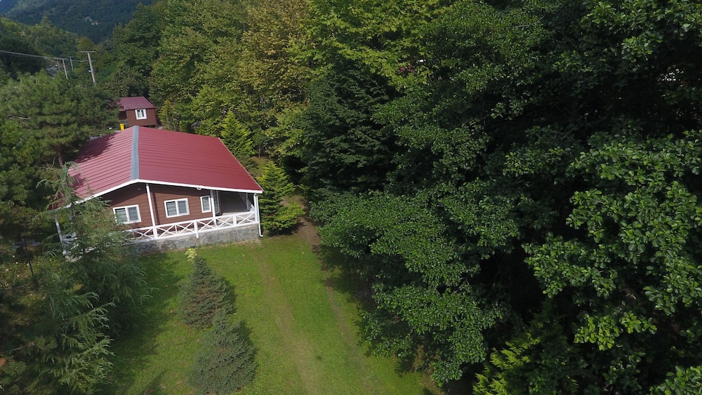 feel and live hotel villas restaurant