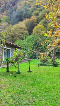 sapanca